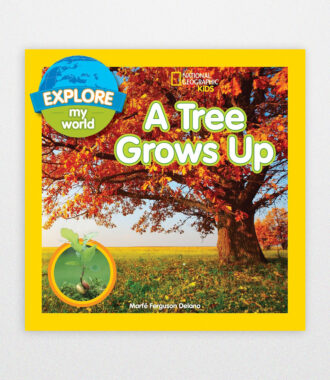 Explore My World A Tree Grows Up by Delano