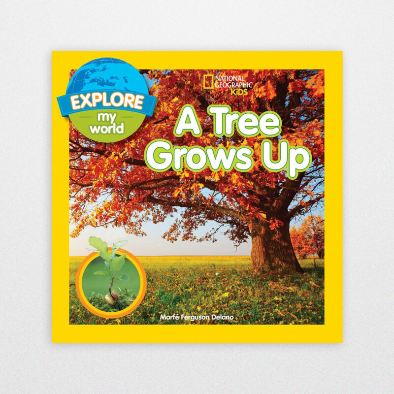 Explore My World A Tree Grows Up By Delano