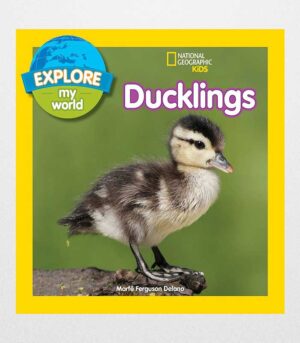 Explore My World: Ducklings byMarfe Ferguson Delano