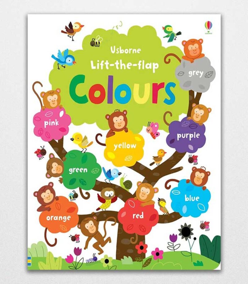 Lift The Flap Colours Book (Usborne Lift-The-Flap-Books) 1 (Young Lift-The-Flap) By Felicity Brooks 